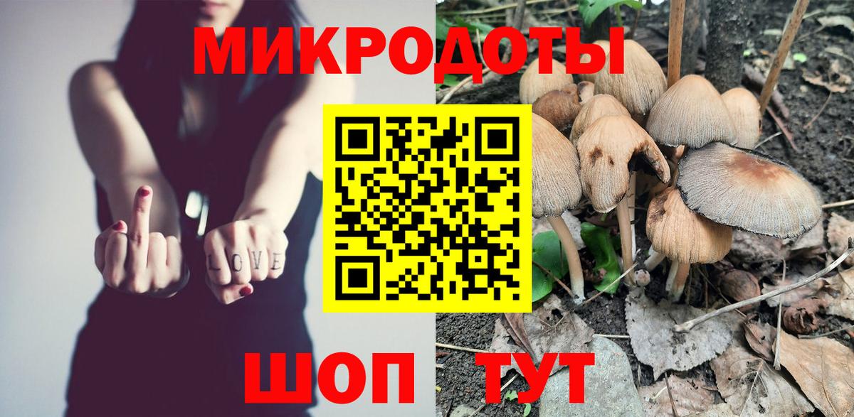 Бузулук  Галлюциногенные грибы Psilocybe  Вход с VPN 